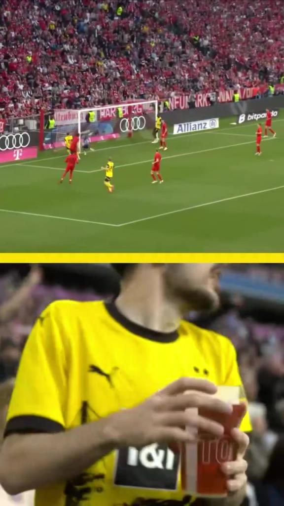 勇者無(wú)懼！這是真多特球迷！在拜仁球迷區(qū)一個(gè)人肆意慶祝！